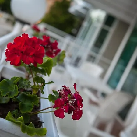 فندق Gardia 3*